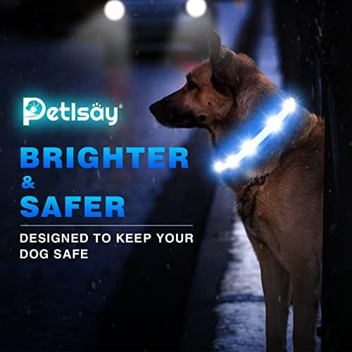 Нашийници за кучета PetIsay Light up - Водоустойчив - Зареждащи се чрез USB - Ярък led защитен нашийник за всички кучета (синьо, средно